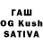 Галлюциногенные грибы Cubensis Den Awdo