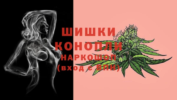 крисы Новодвинск