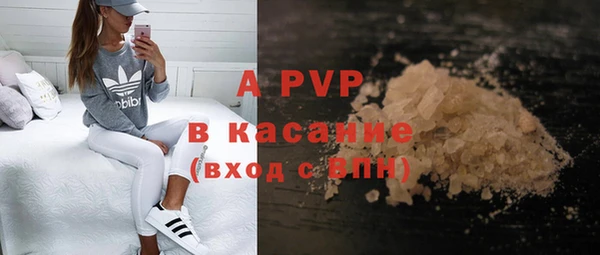 крисы Новодвинск