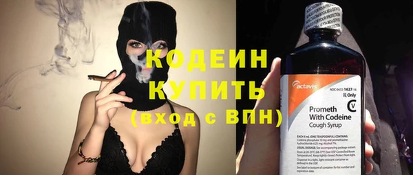 крисы Новодвинск