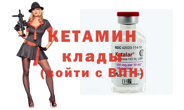 крисы Новодвинск