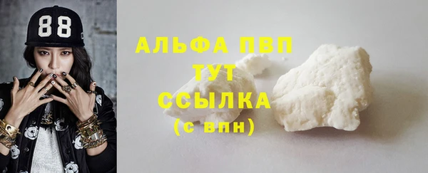 крисы Новодвинск
