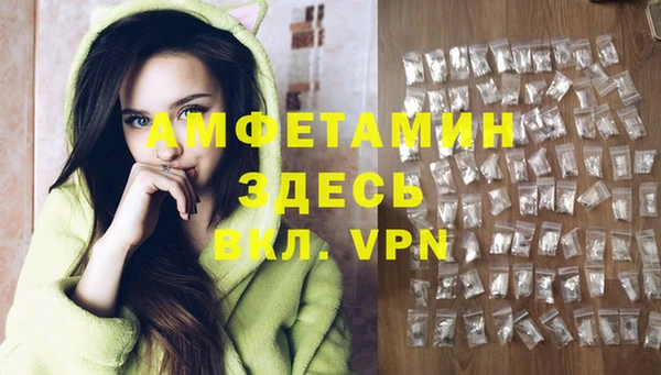 крисы Новодвинск