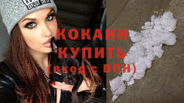 крисы Новодвинск