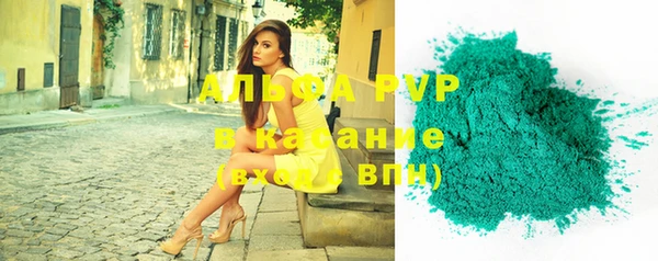 крисы Новодвинск