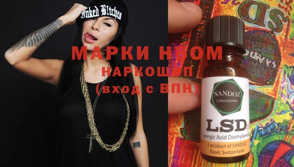 крисы Новодвинск