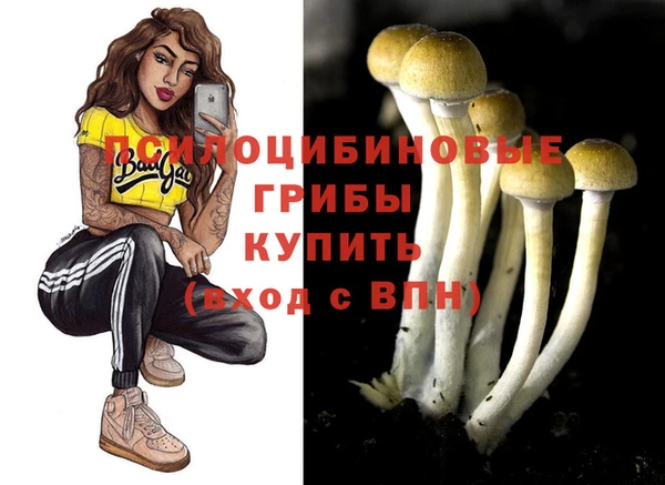 крисы Новодвинск