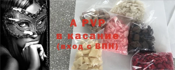 крисы Новодвинск