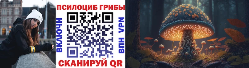 МЕГА ссылки  Чаплыгин  Галлюциногенные грибы мухоморы 